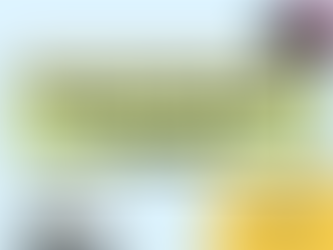 [Pre-U] Engaging Schools through Teacher and Student Resources 