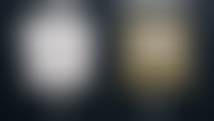 Are You Buying a Job or a Company?