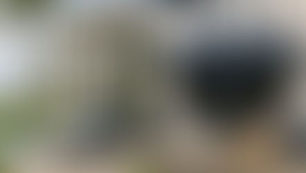 Are You Buying the Seller’s Lifestyle or the Business?