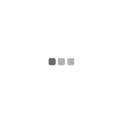 giphy (1).gif