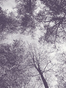 Edita Prima julkaisi vuoden 2025 ympäristöraportin