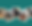 Photo row.png