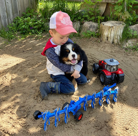 Loving on our puppies