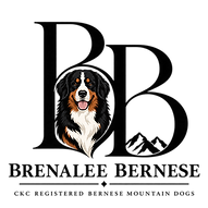 Transparent Logo.png
