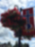 IMG_1984.jpeg