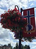 IMG_1984.jpeg