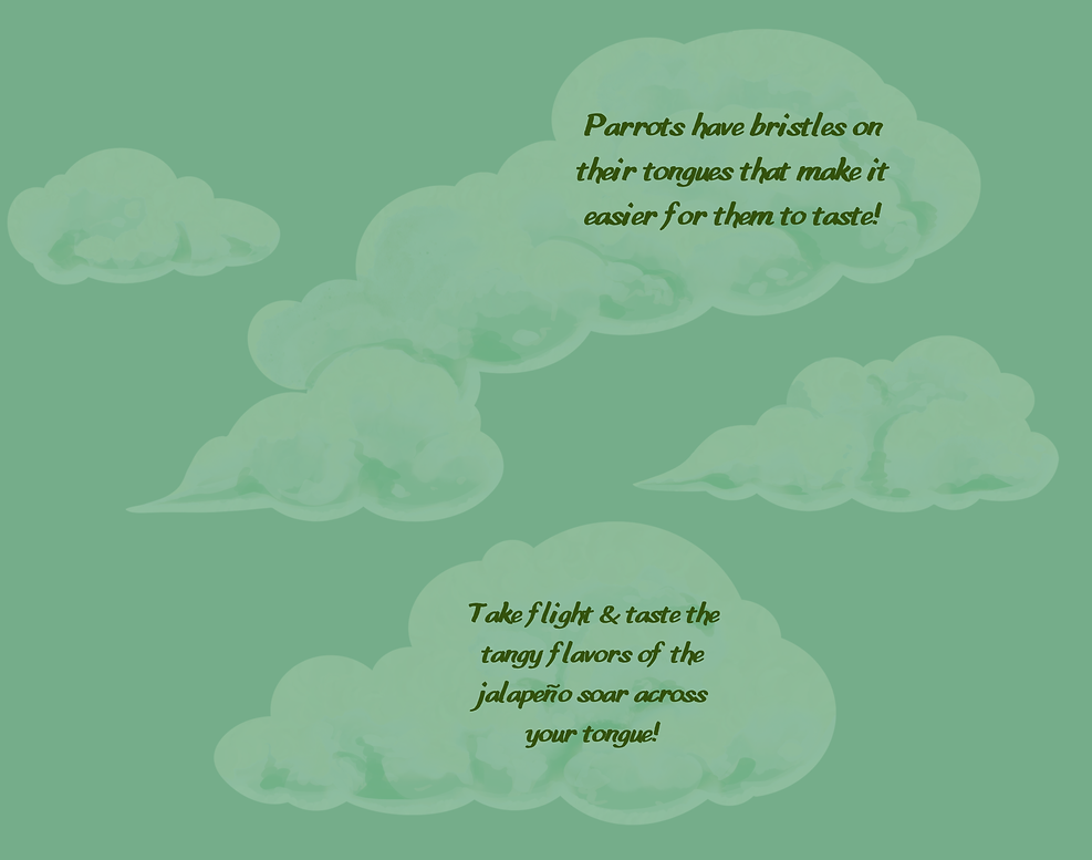 Three Birds Pitch Deck (37).png