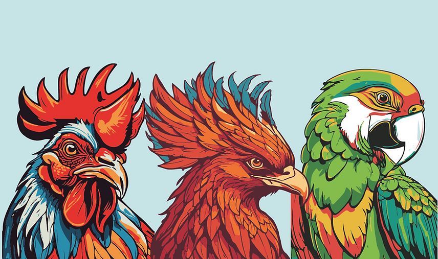 Three Birds Pitch Deck (15).png