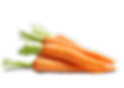bg-ICarrotLot-min.png