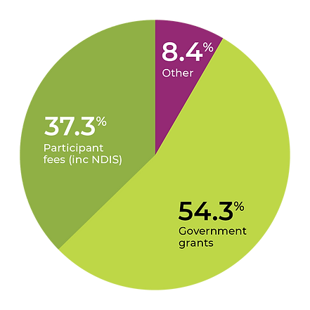 Revenue Graph (2).png