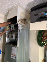 Damaged and Moldy Unit Being Replaced