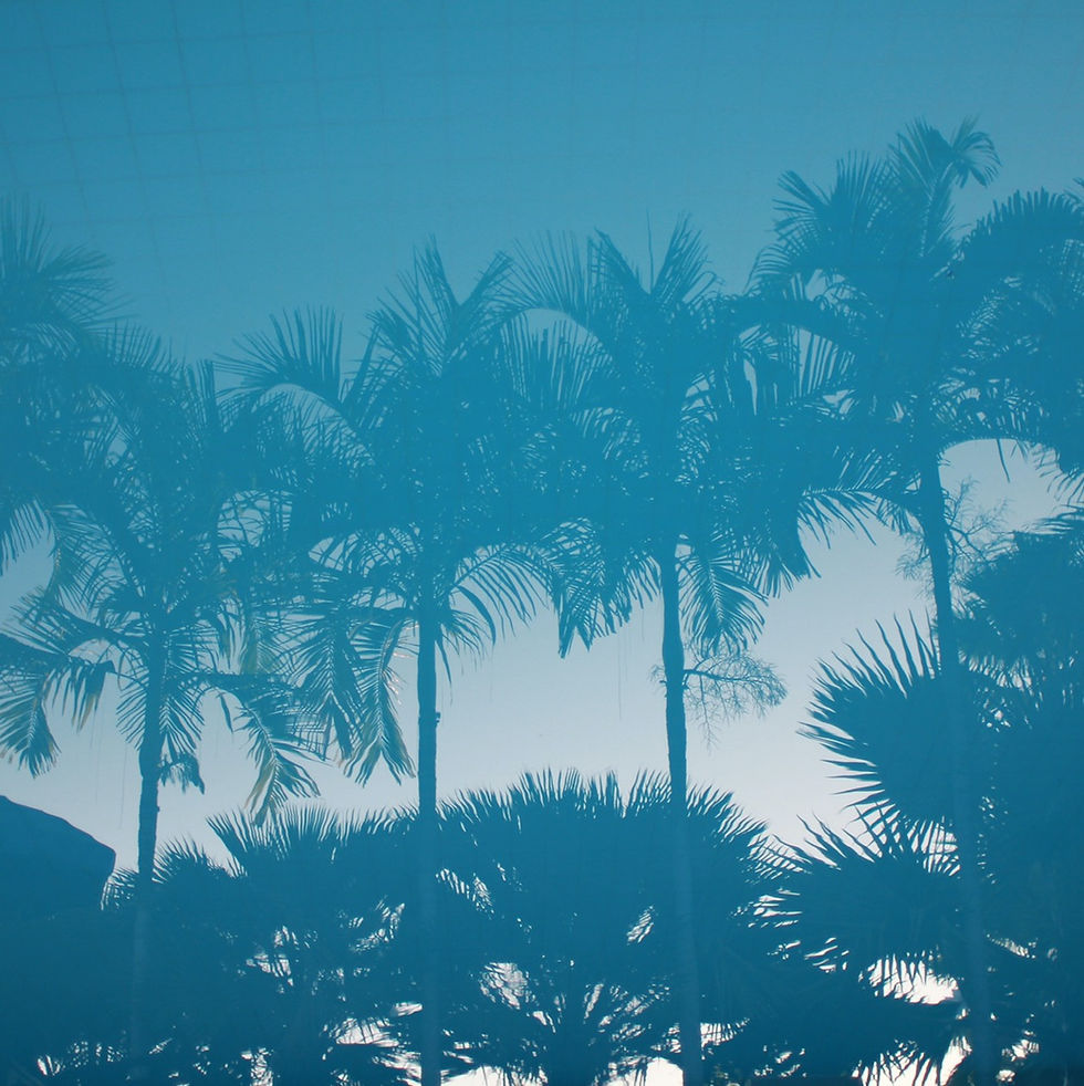 edited-reflection-background-texture.jpg