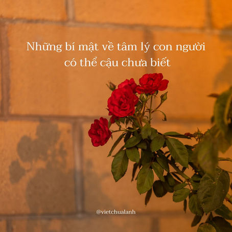 Những bí mật về tâm lý con người có thể cậu chưa biết