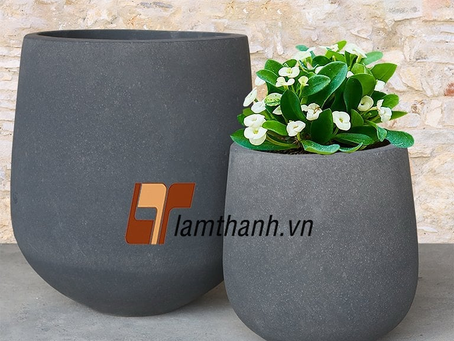 Best Plants for Concrete Planters: Top Picks