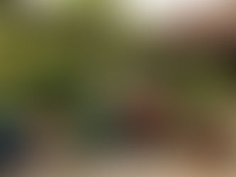 Vietnam Garden Pottery: A Complete Guide for Wholesale Buyers & Importers