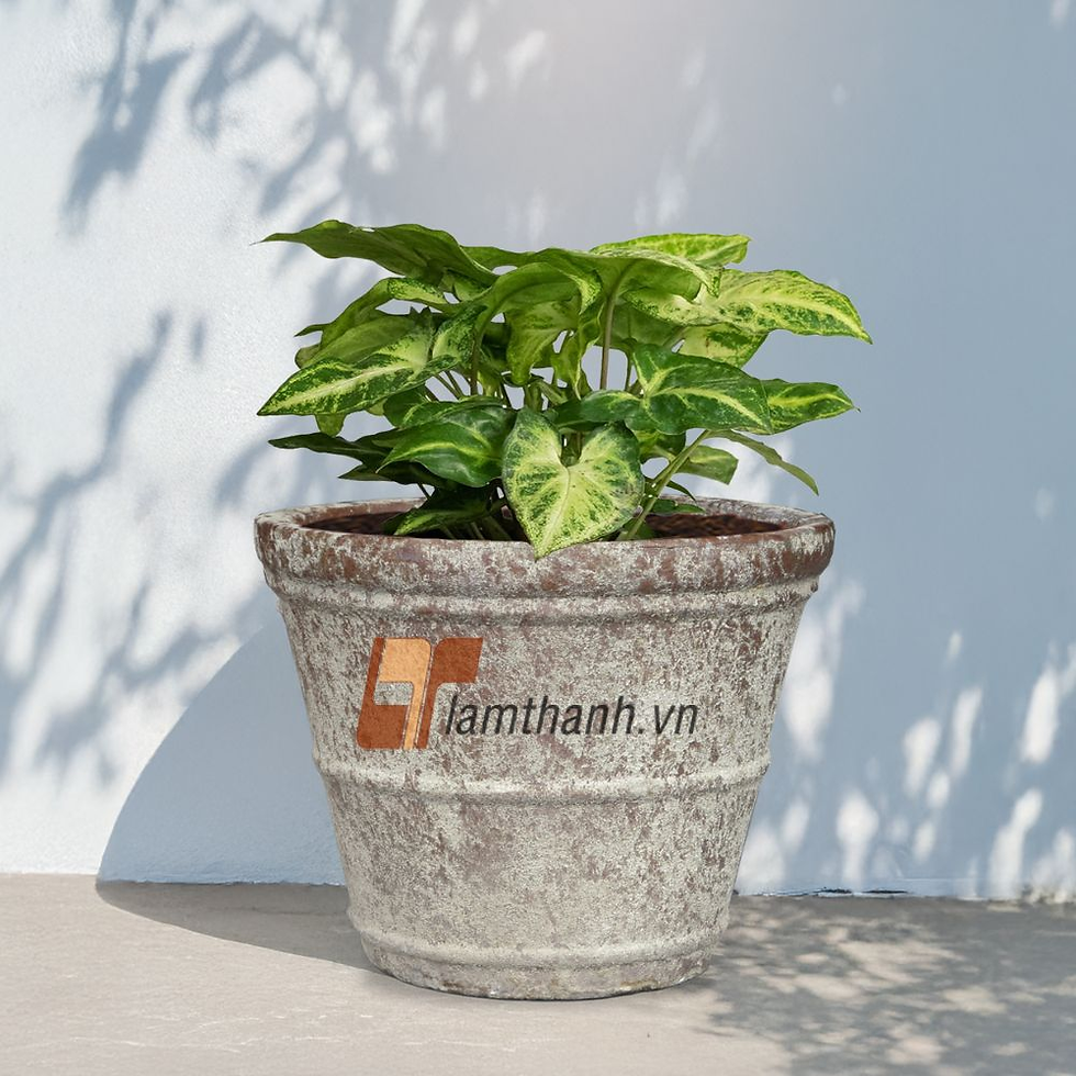 Vietnamese Ceramics, Clay Pots Wholesale