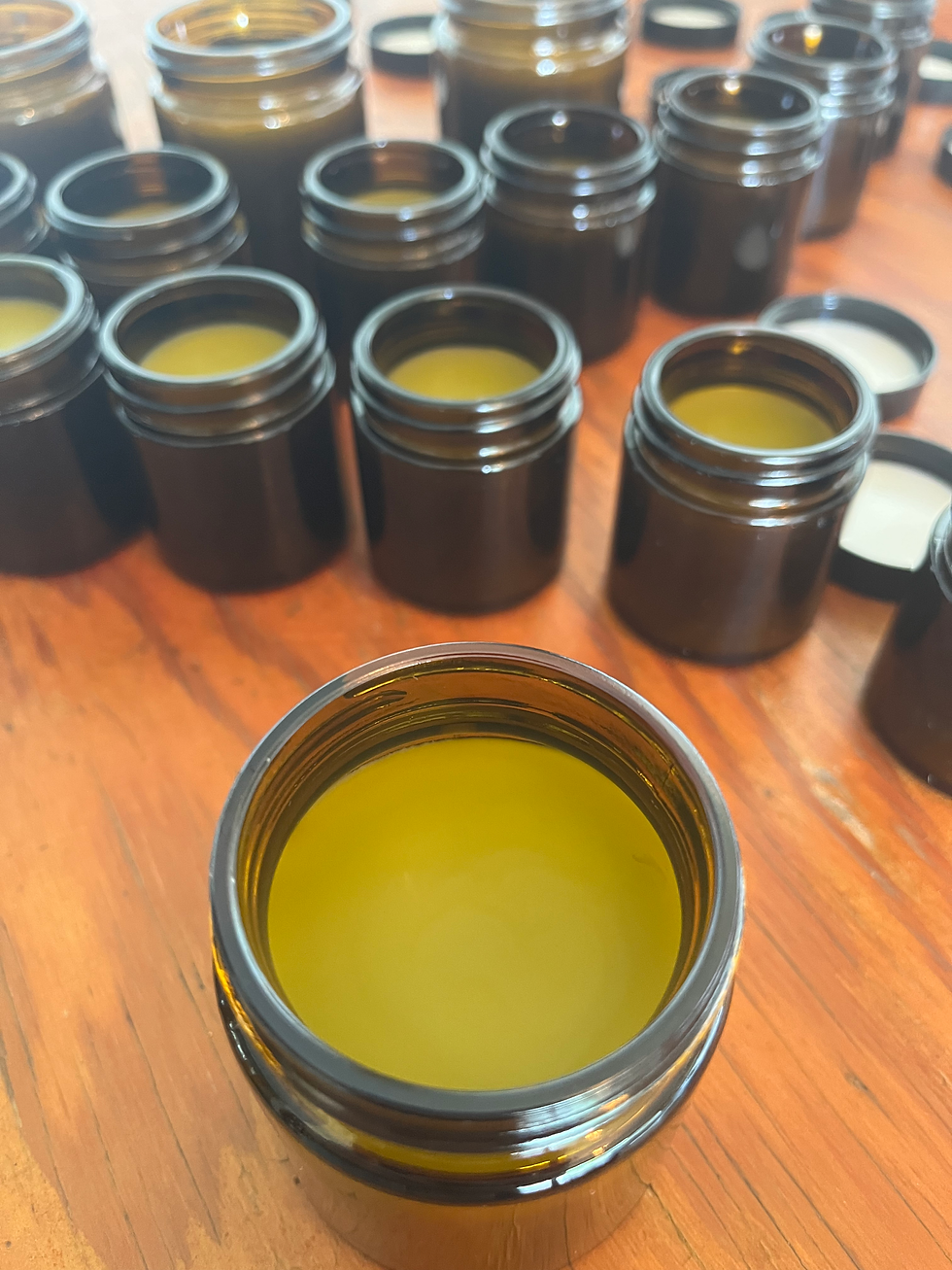 Build Your Medicine Chest
