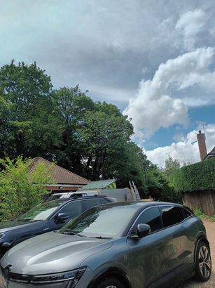 After: cherry tree reduction in Maidenhead