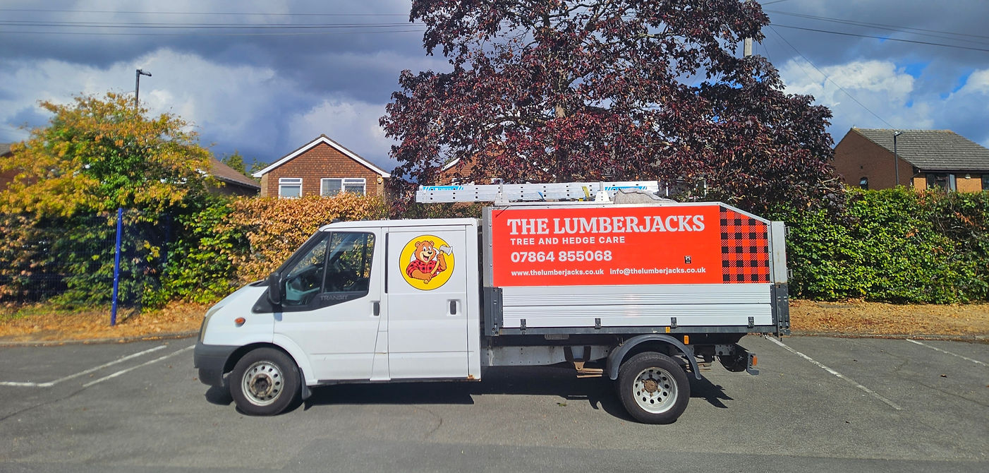 The Lumberjacks tree surgery truck