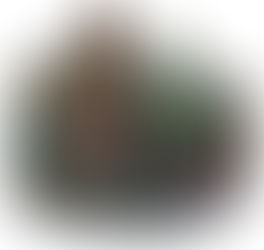 Poções em boas porções!