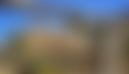 Moving Liberia Forward