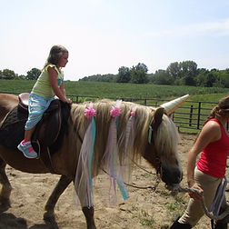 Birthday Parties & Private Tours