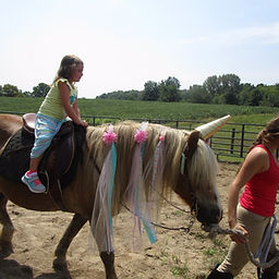 Birthday Parties & Private Tours