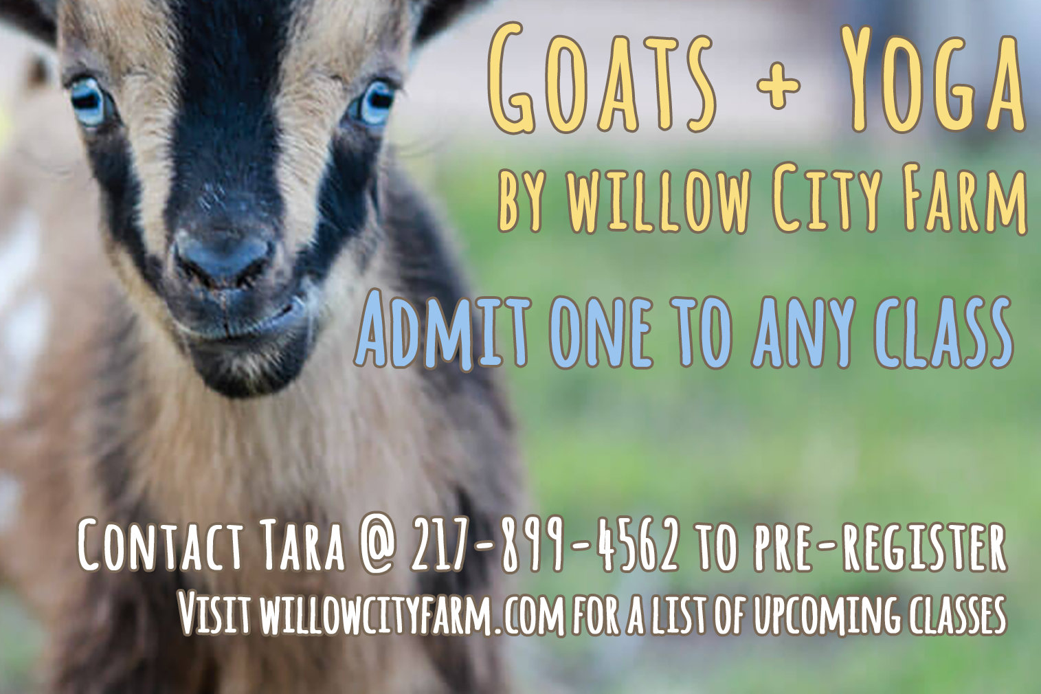 Goats + Yoga Ticket Willow City Farm