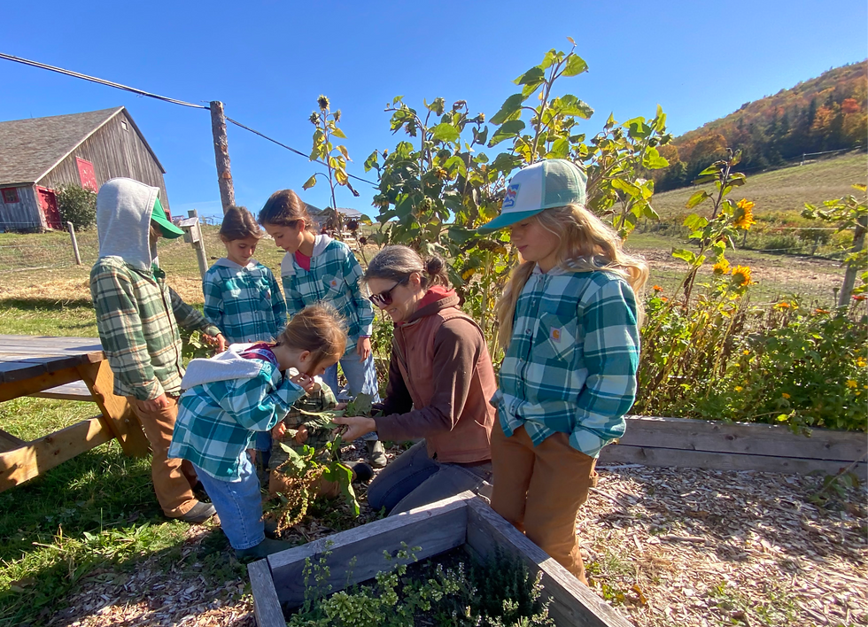 Homeschool Homesteaders