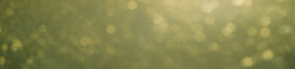 Client experience section 6 background