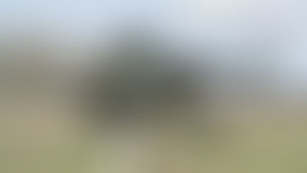 Η Ουγγαρία «τα σπάει» με το ΝΑΤΟ αγοράζοντας ρωσικά ελικόπτερα!