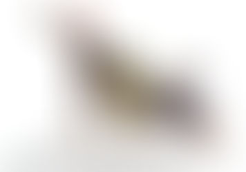 Αποχαρακτηρισμένες επιστολές προς την Κλίντον αποκαλύπτουν γιατί ανατράπηκε ο Καντάφι