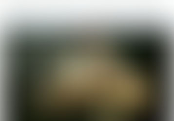 Αλλάζει η ηλικία συνταξιοδότησης και σε Βουλγαρία