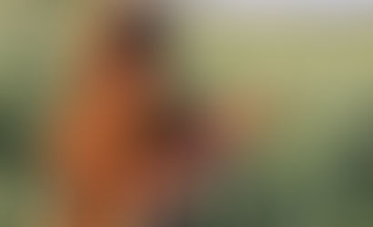 ΤΟ ΕΜΠΟΡΙΟ ΕΝΙΣΧΥΕΙ ΤΟ ΙΣΛΑΜΙΚΟ ΚΡΑΤΟΣ
RT: Στην Τουρκία το αφγανικό όπιο γίνεται ηρωίνη και πλημμυρί