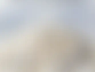 Understanding the Role of a Pellet Machine Used in Tofu Cat Litter Production