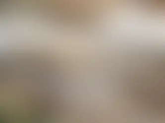 Common Issues You Can Avoid with a Rotary Screener in Cat Litter Production