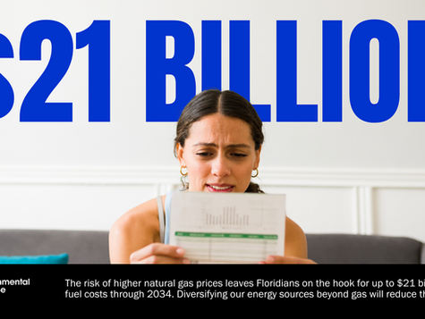 Natural gas driving $21 billion risk for Florida’s families and businesses by 2034