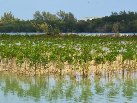Three major ways Florida’s new law will boost coastal resiliency