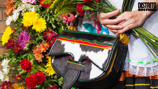 🌸 Feria de las Flores: La Fiesta Más Colorida y Emblemática de Medellín