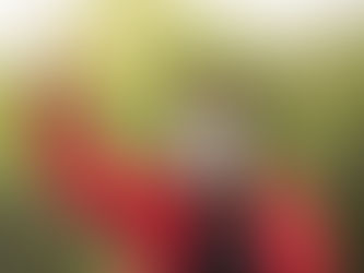 Hasta el 16 de abril se extiende el plazo para inscribir a las mujeres de Medellín al Galardón Honor