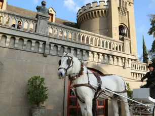 🏰 Museo El Castillo: Historia, Arte y Jardines