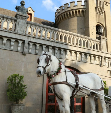 🏰 Museo El Castillo: Historia, Arte y Jardines