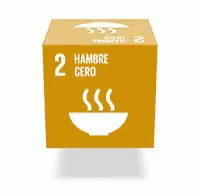ods1pobreza-ods (2).gif