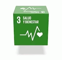 ods1pobreza-ods (3).gif