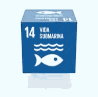 sdg-ods (4).gif