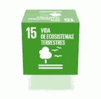 sdg-ods (5).gif