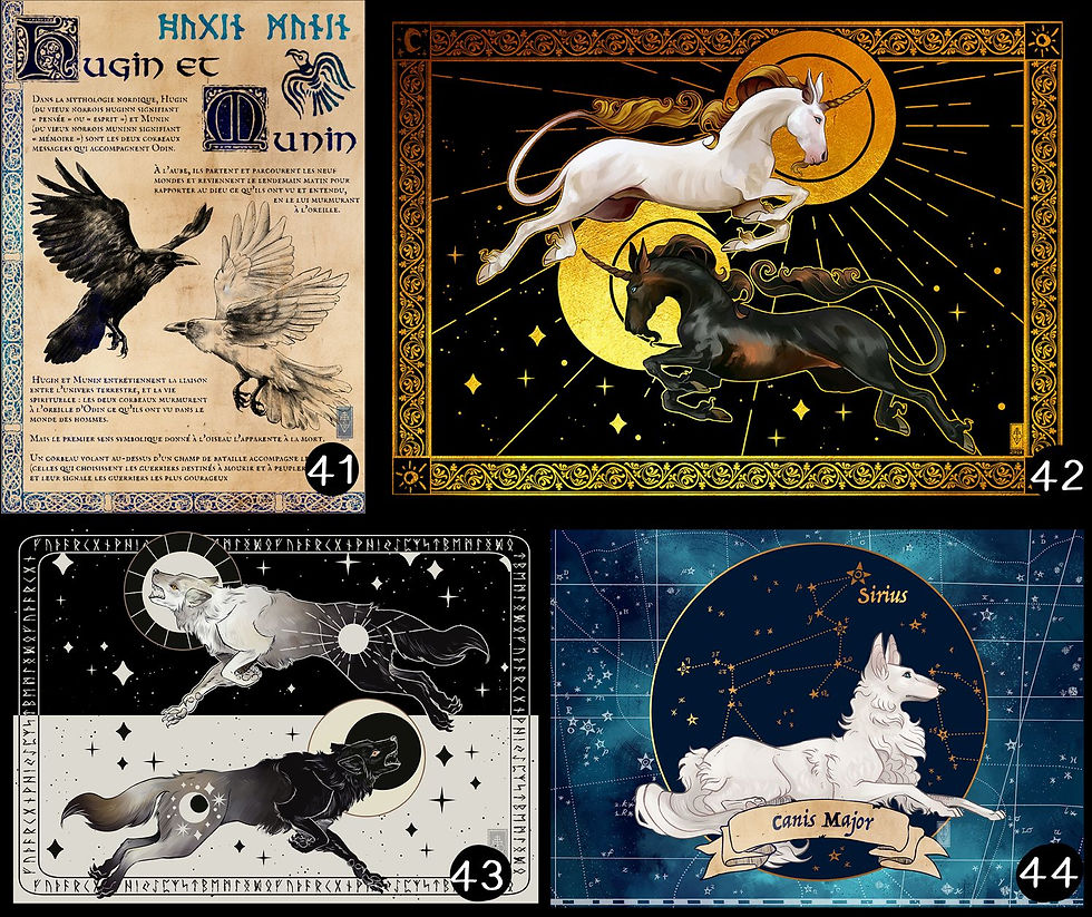Miniature : Affiches (A5) - Illustrations originales