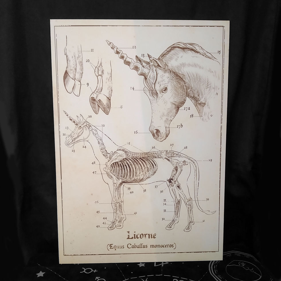 Miniature : Affiches rigides A4