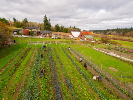 Westwood Nanaimo Foodshare (2).jpg