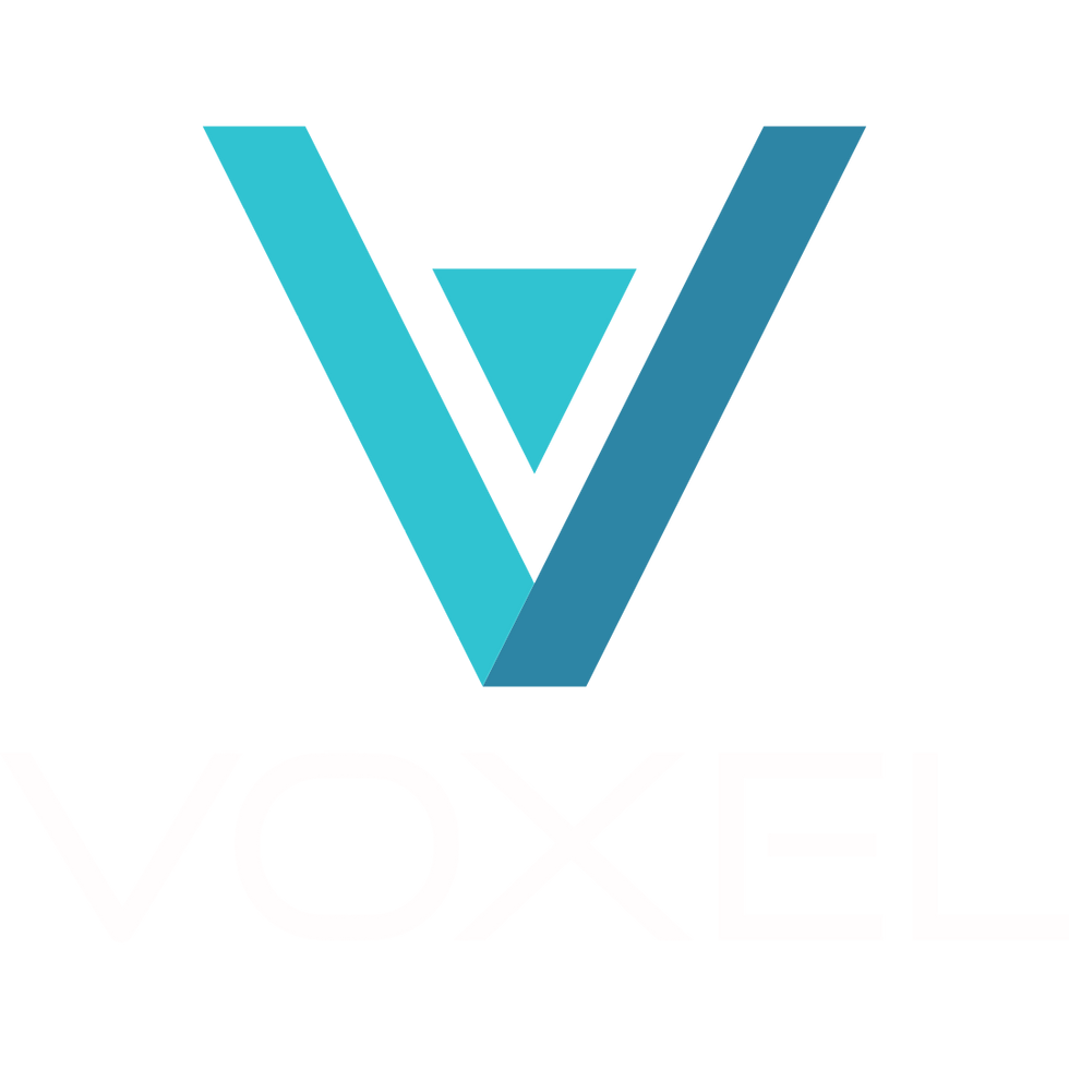 Logo Voxel